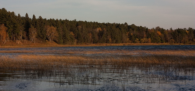 Lake_Itasca - World Water Database